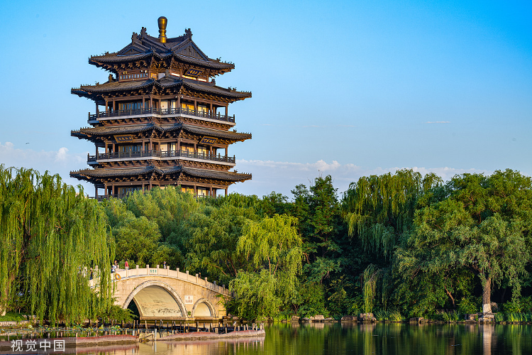 山东
